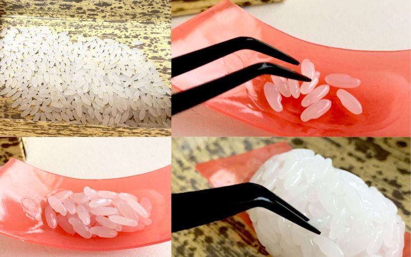 lap-mo-hinh-sushi lap-mo-hinh-sushi